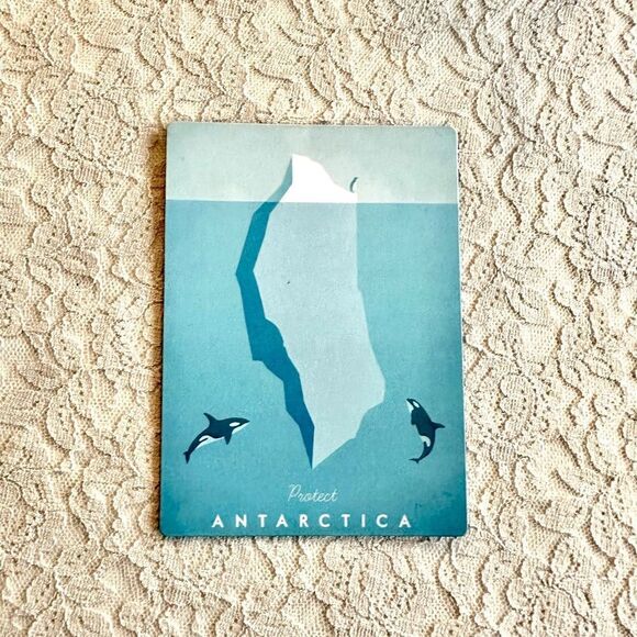 Protect Antarctica Magnet with Orcas - Picture 4 of 7